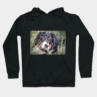 Bernie dog gift Hoodie